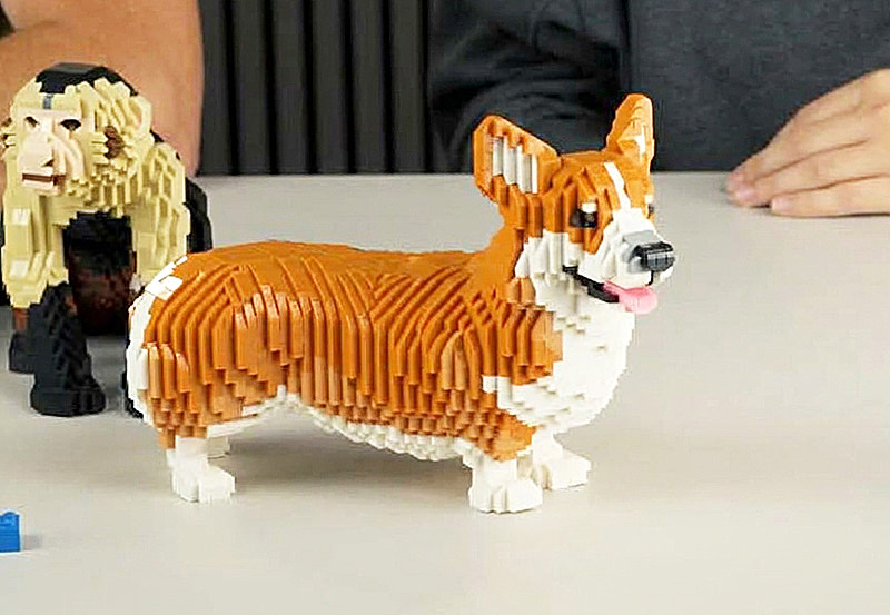 BlueBrixx Welsh Corgi (109442)