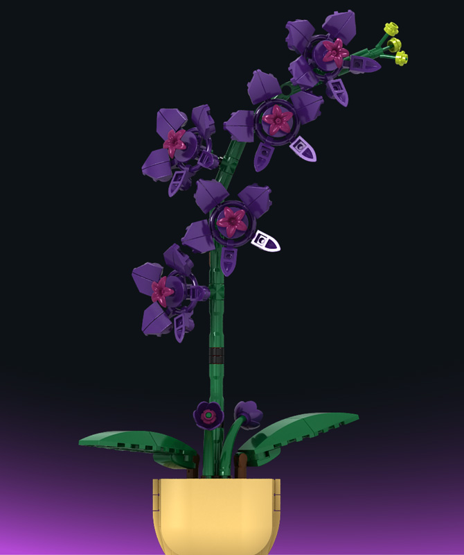 Stone Heap Orchidee SH-11011