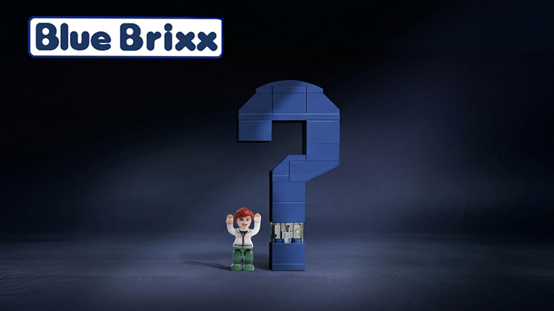 BlueBrixx Treueprogramm Umfrage Titel